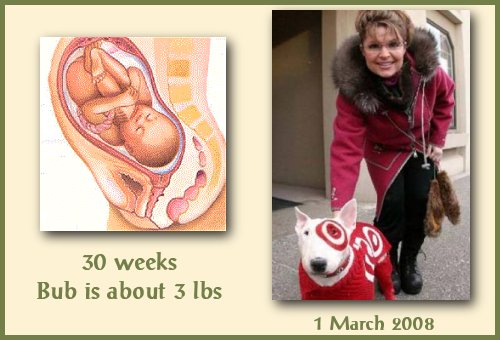 30 weeks pregnant. pregnancy at 30 weeks – If